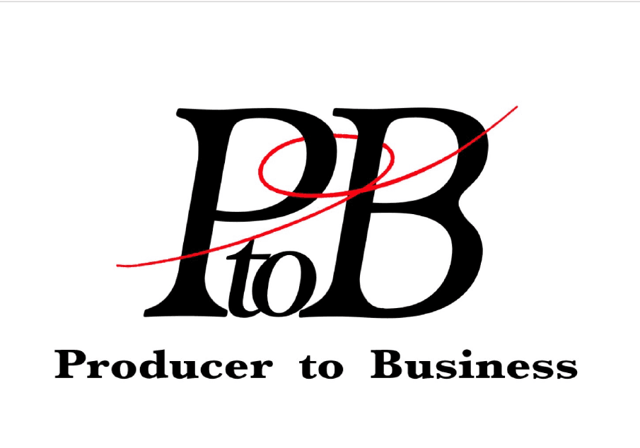 株式会社PtoB ロゴ